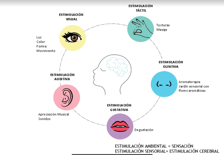 estímulos